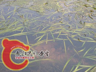 DSCN2182.jpg
