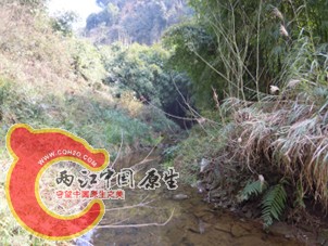 DSCN2186.jpg
