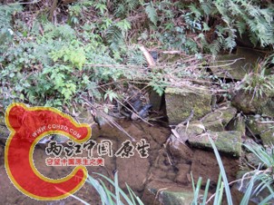 DSCN2188.jpg