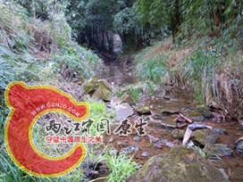 DSCN2192.jpg