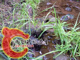 DSCN2193.jpg