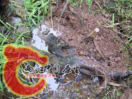 DSCN2195.jpg