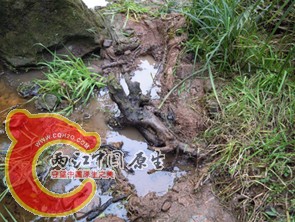 DSCN2196.jpg