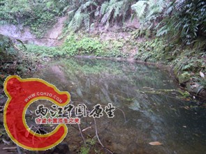 DSCN2200.jpg
