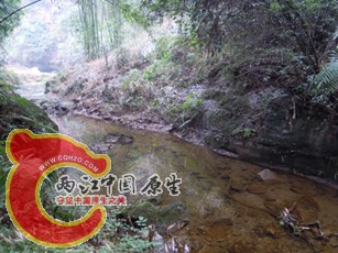 DSCN2202.jpg