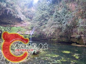 DSCN2205.jpg