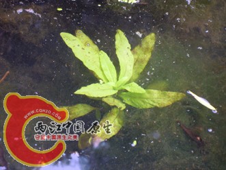 DSCN2214.jpg