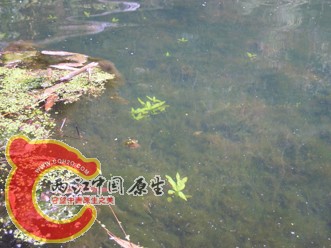 DSCN2215.jpg