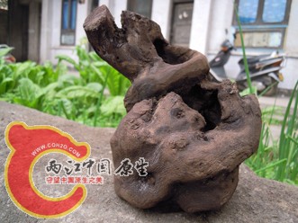 DSCN2261.jpg