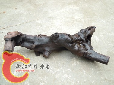 DSCN2266.jpg