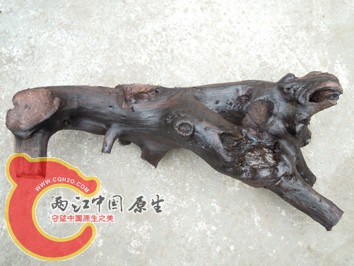 DSCN2267.jpg