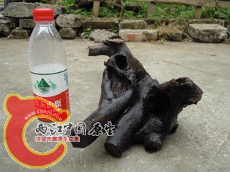 DSCN2268.jpg