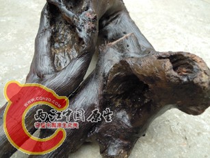 DSCN2269.jpg