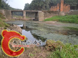 DSCN2287.jpg