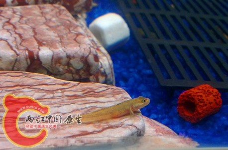 IMAG0421_副本.jpg