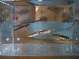 990da4f2gw1e1jtvs7xpug.gif