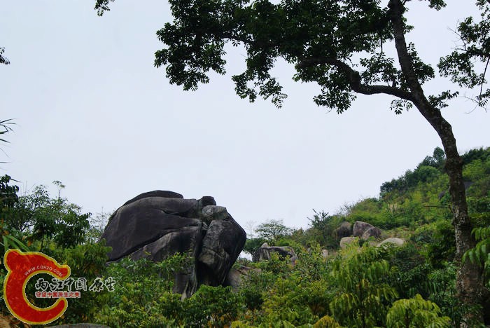 乱石岗 (1).jpg