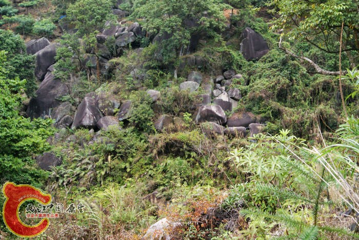 乱石岗 (34).jpg