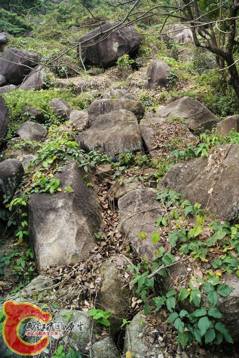 乱石岗 (42).jpg