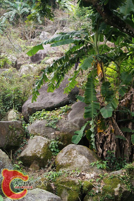 乱石岗 (45).jpg