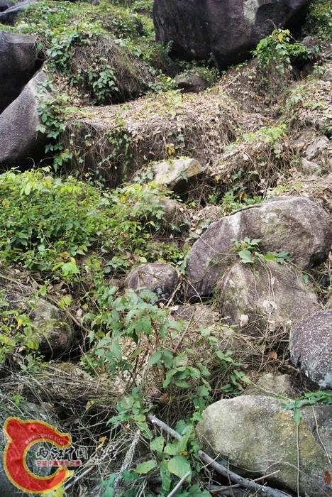 乱石岗 (52).jpg