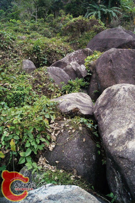 乱石岗 (58).jpg