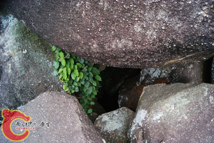 乱石岗 (59).jpg