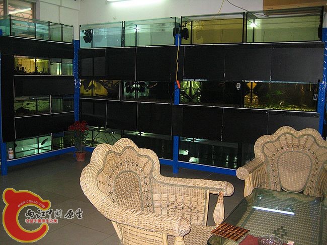 0209-1.jpg