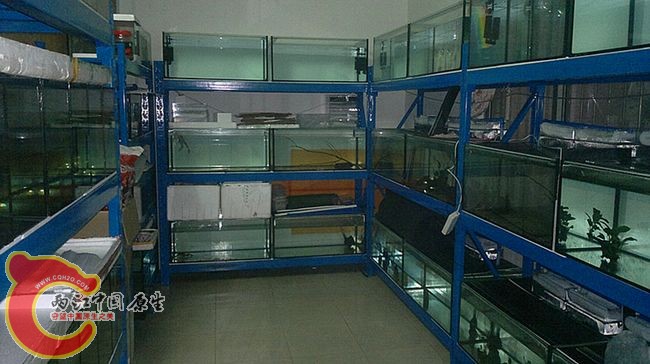 1220-1.jpg