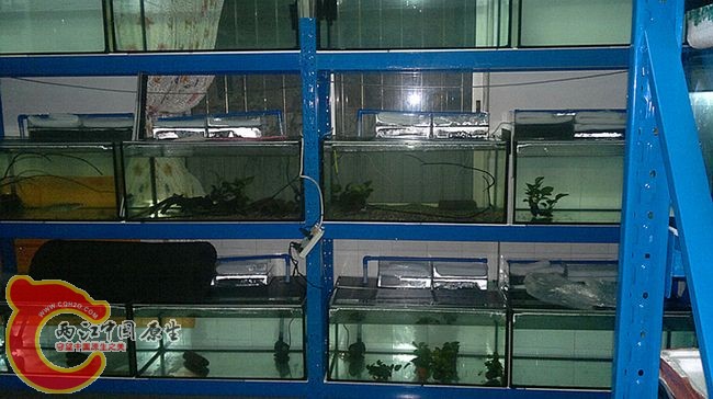 1220-3.jpg