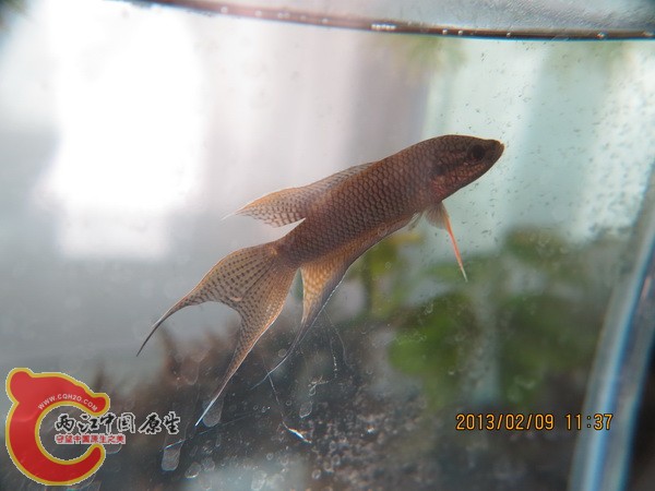 照片 015.jpg