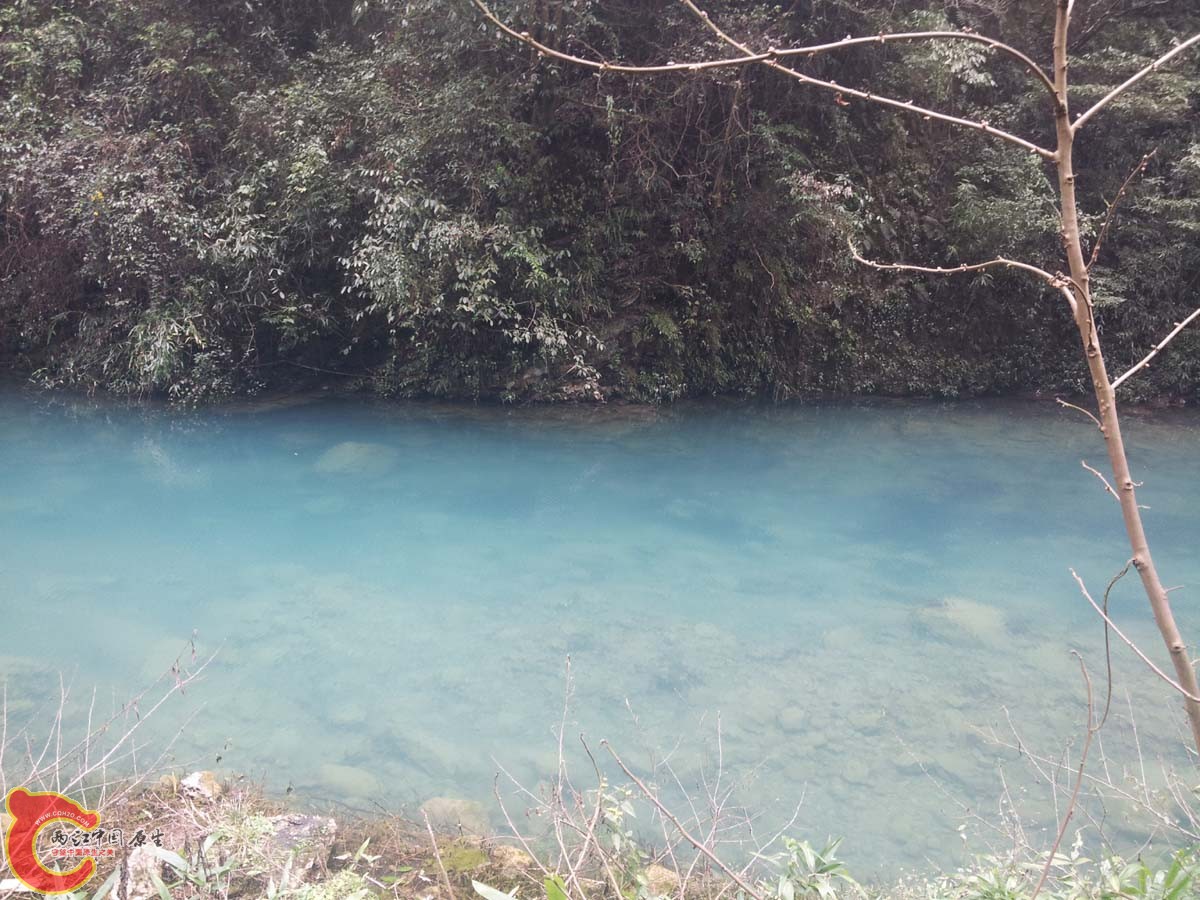 20130213_130505.jpg