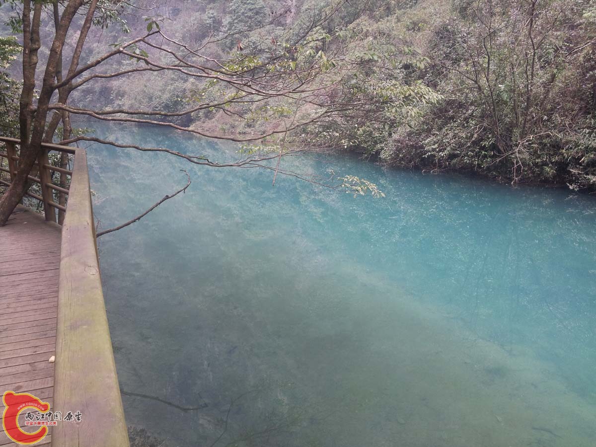 20130213_130713.jpg
