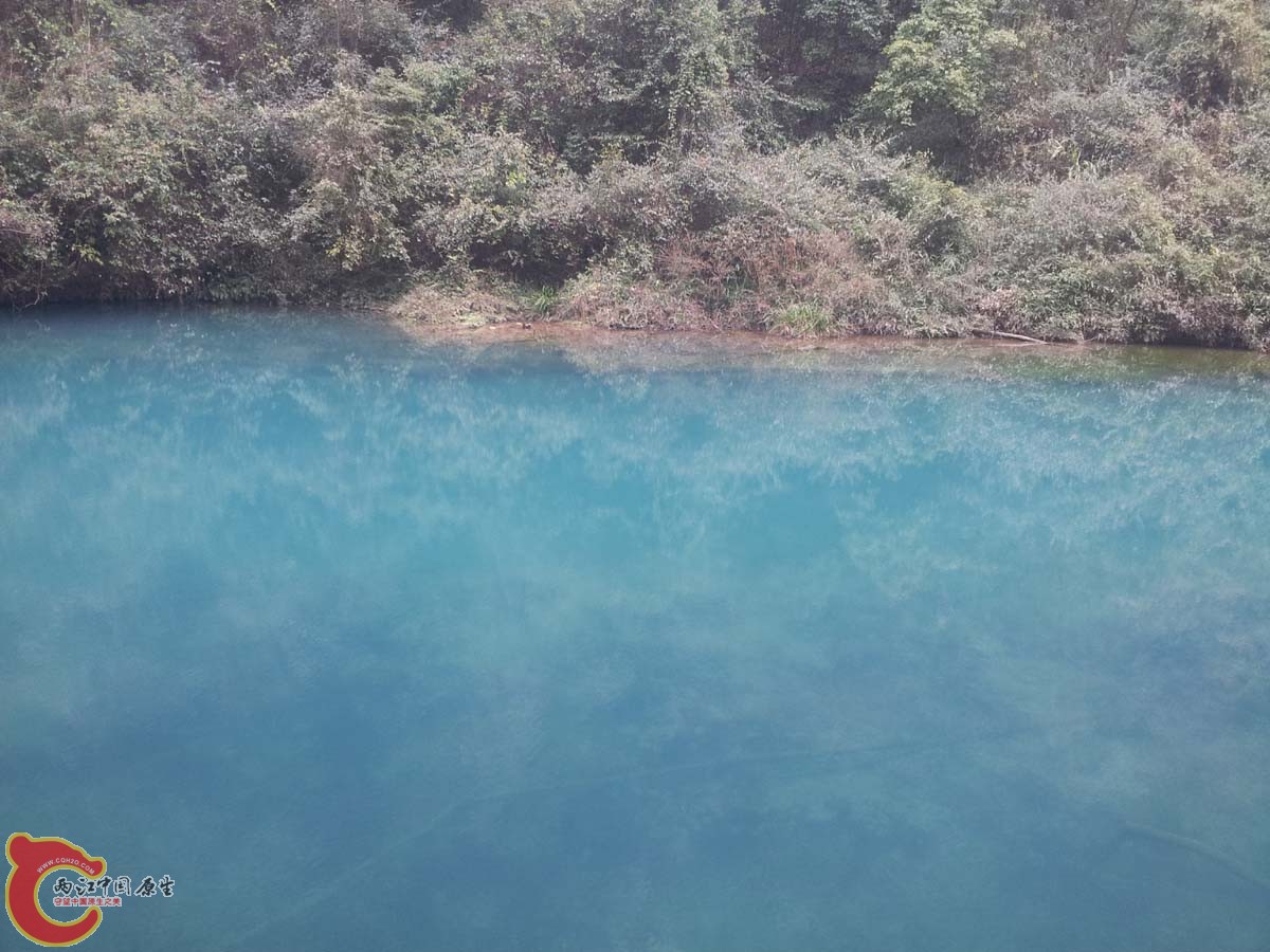 20130213_130913.jpg