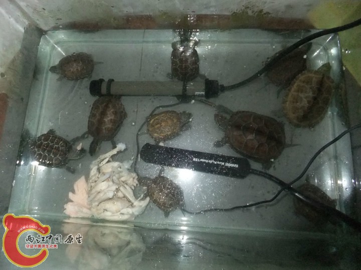 large_uHBL_6d3d0000aca1118d.jpg