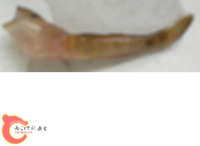 未命名1.JPG