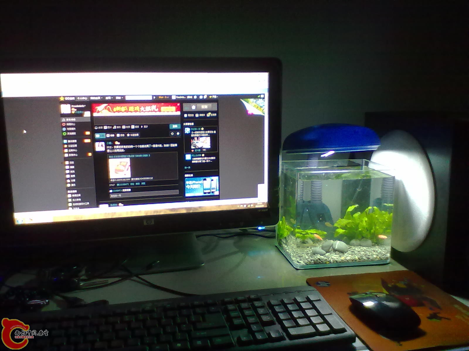 20130215427.jpg
