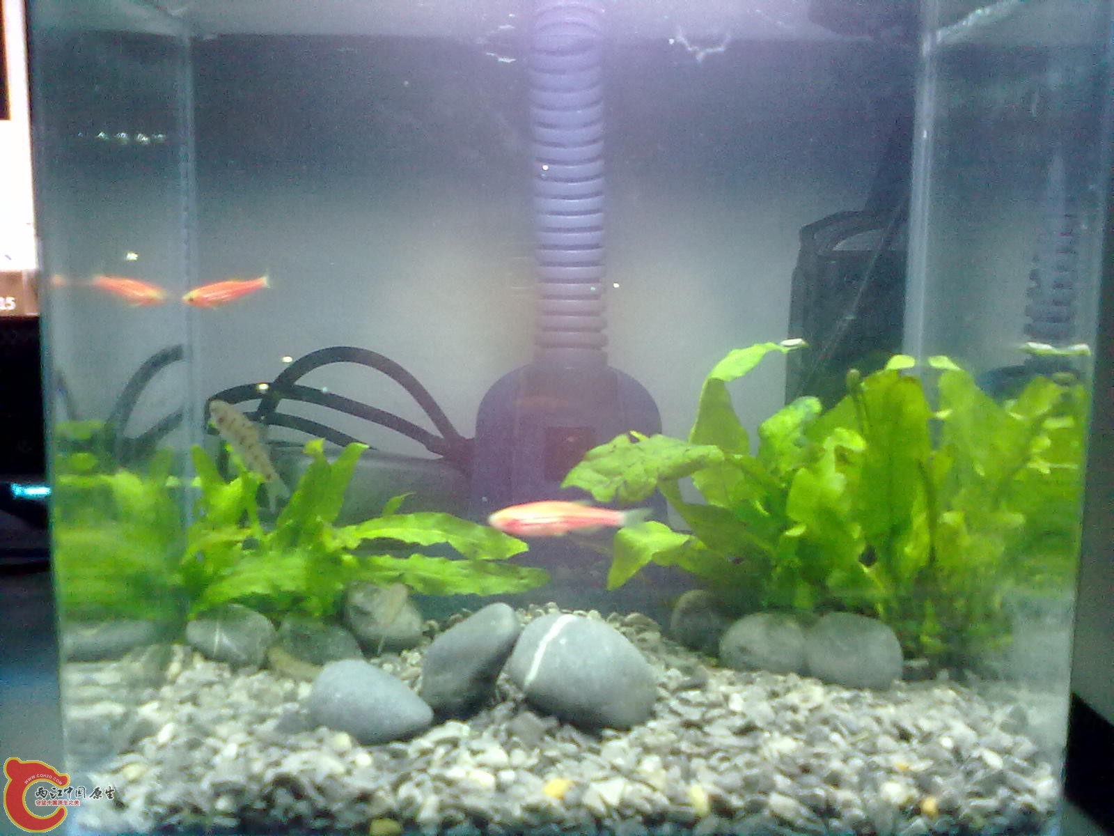 20130215429.jpg