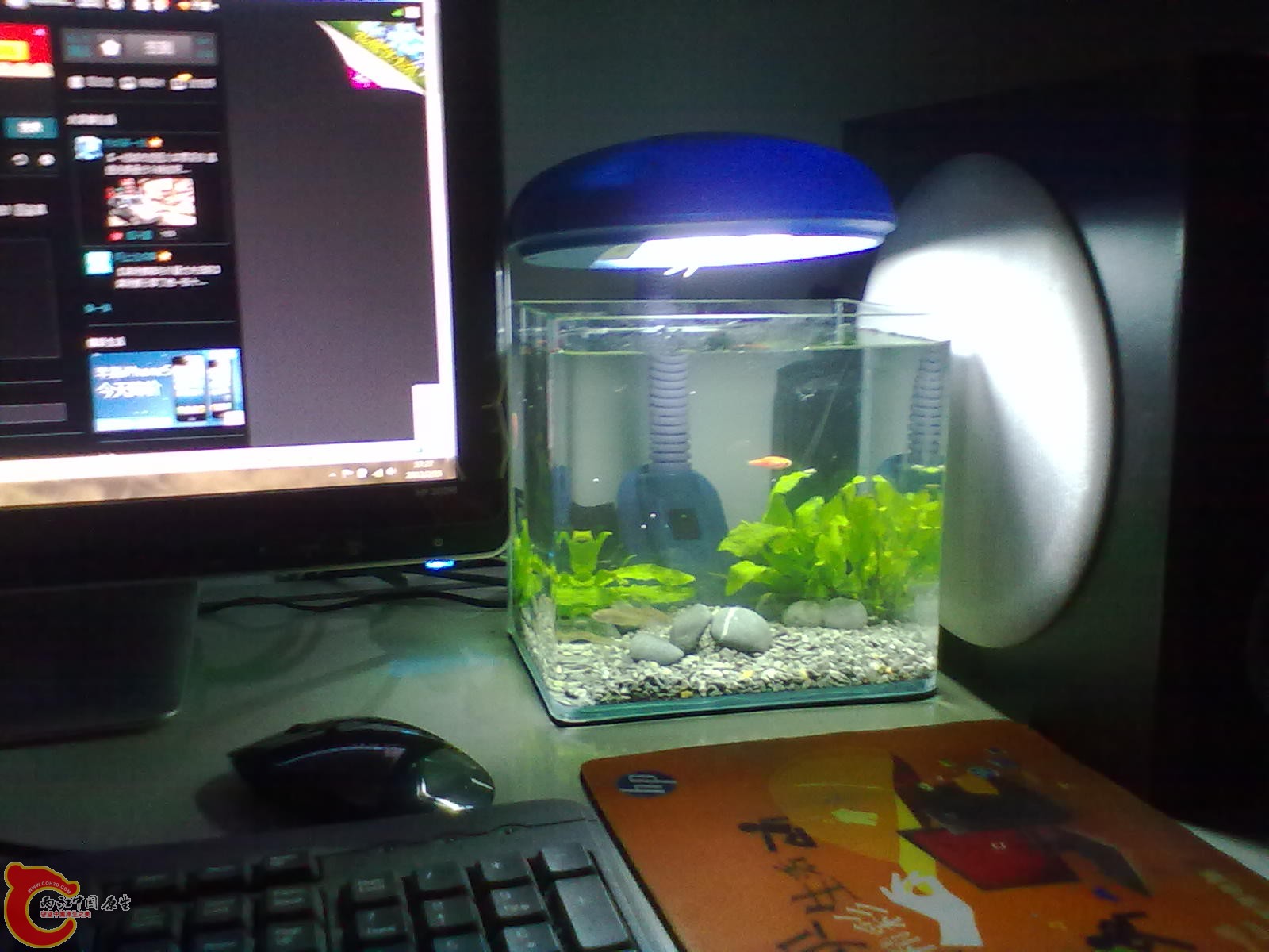 20130215430.jpg
