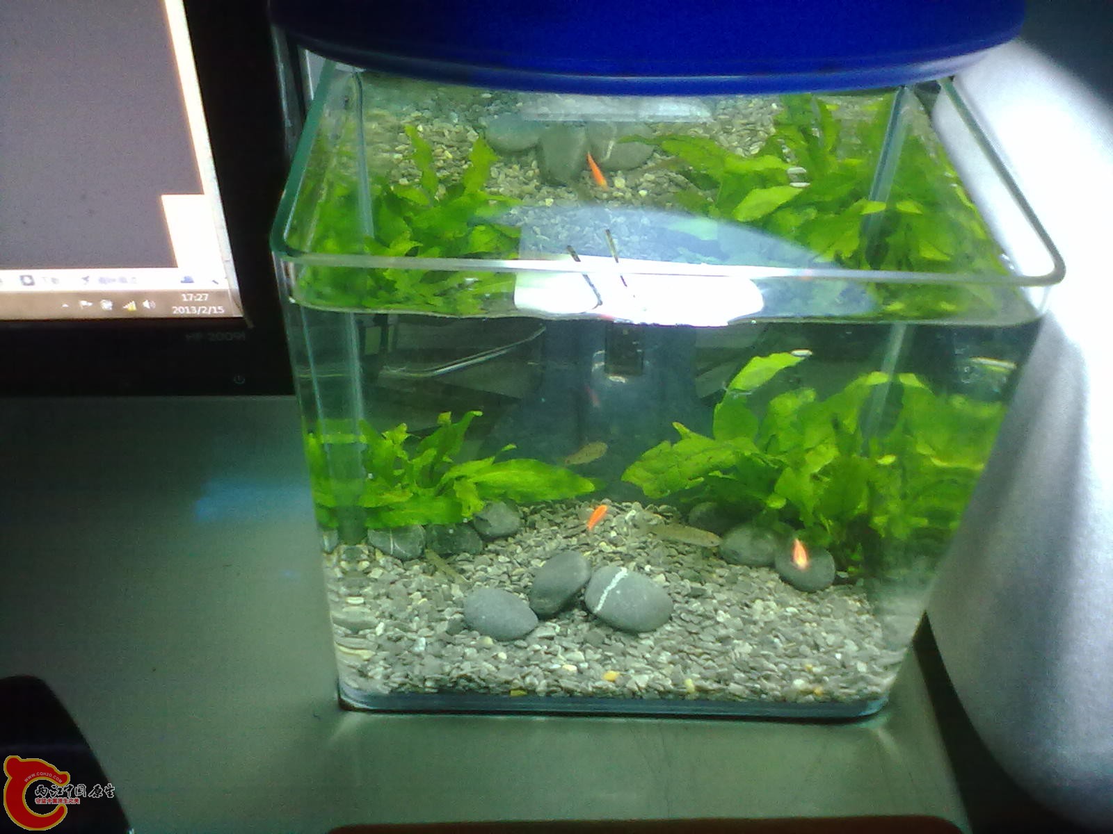 20130215431.jpg