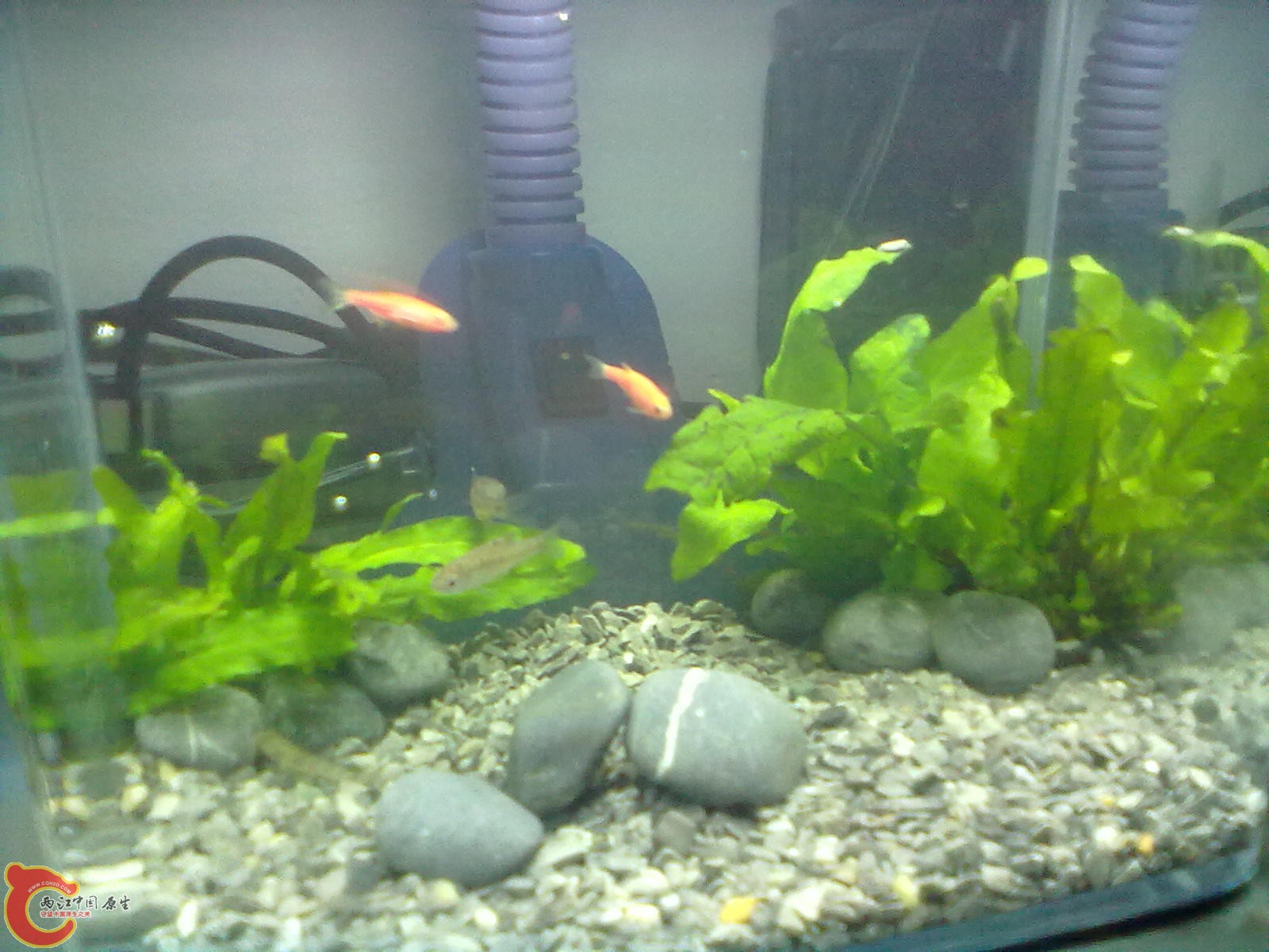 20130215432.jpg