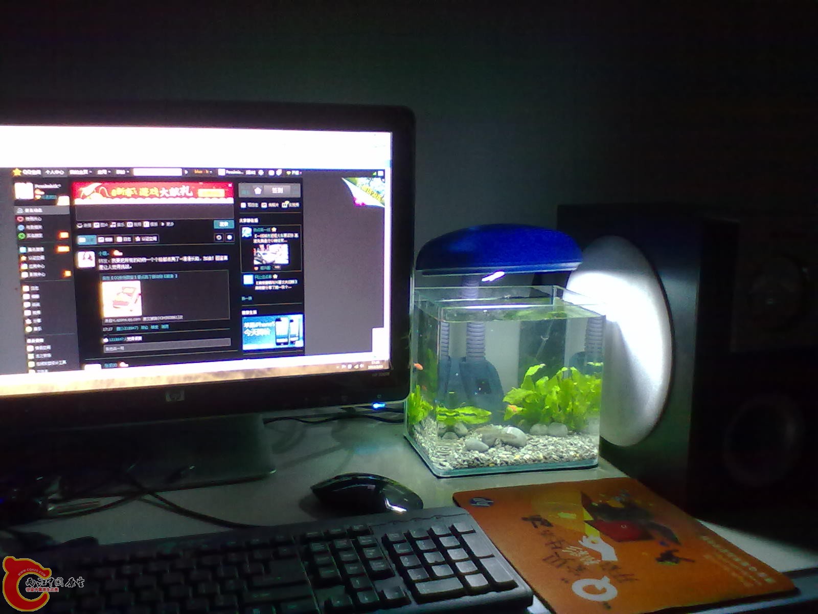 20130215433.jpg