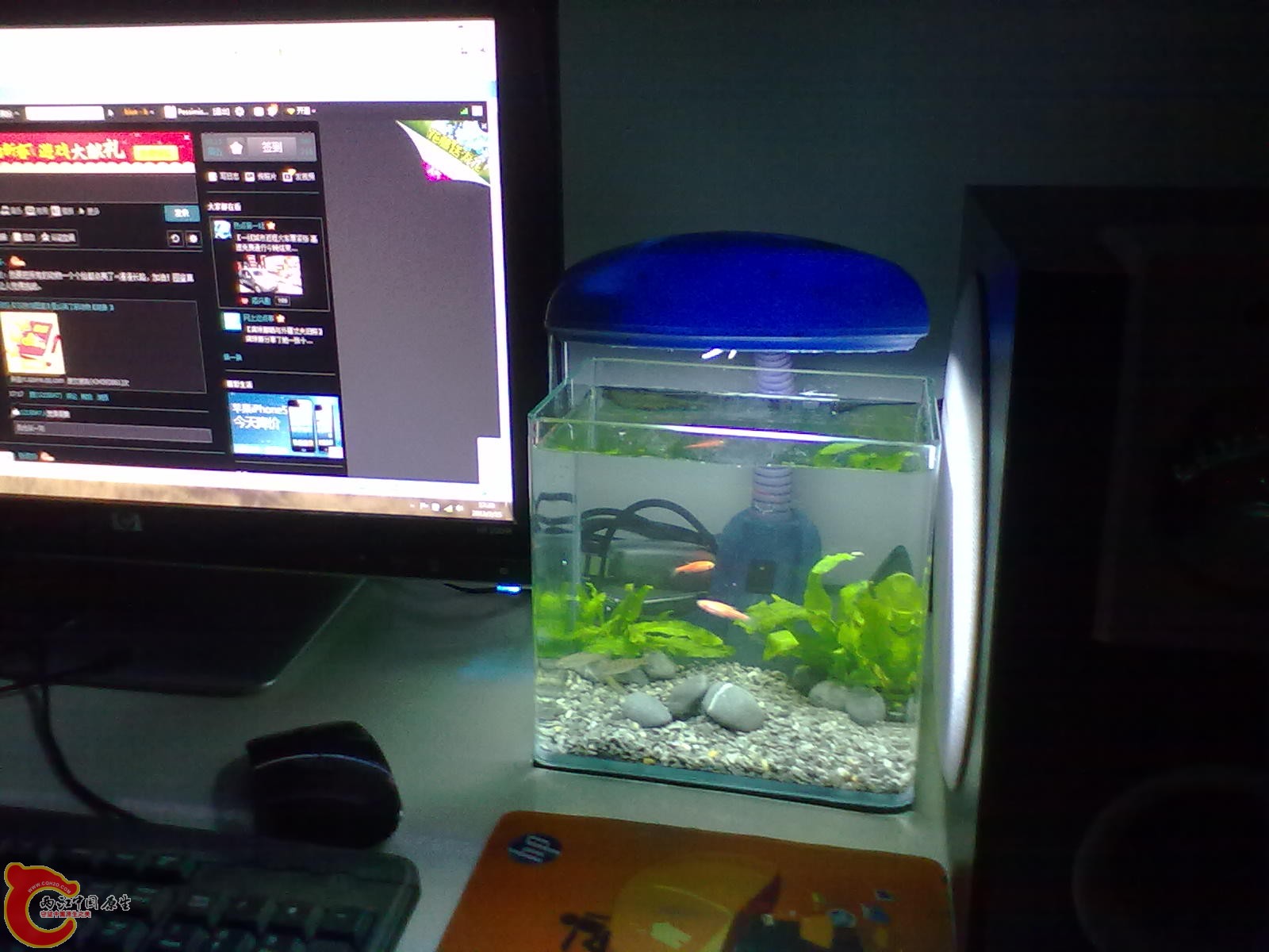 20130215434.jpg