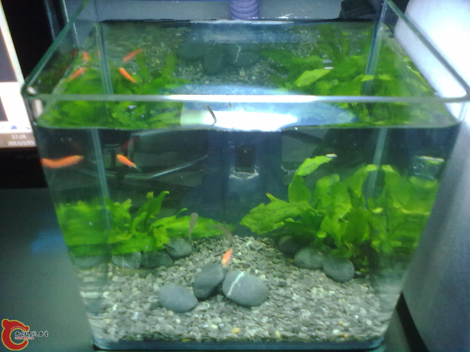 20130215435.jpg