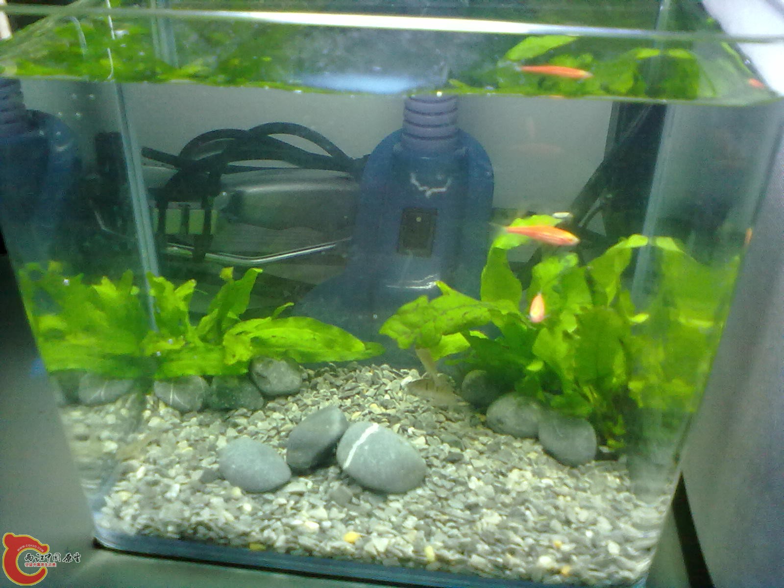 20130215436.jpg