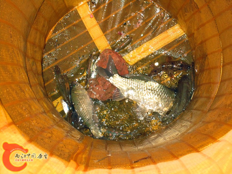 IMG_6740_副本.jpg