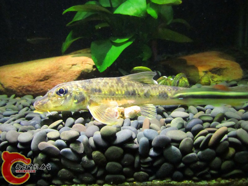 IMG_6747_副本.jpg