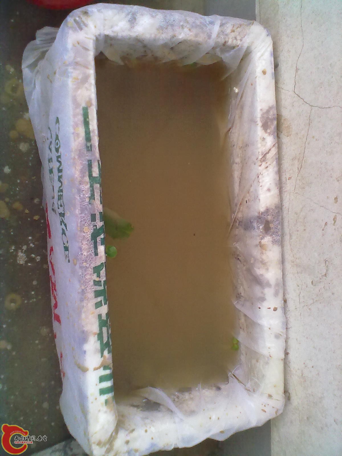 20120409477.jpg
