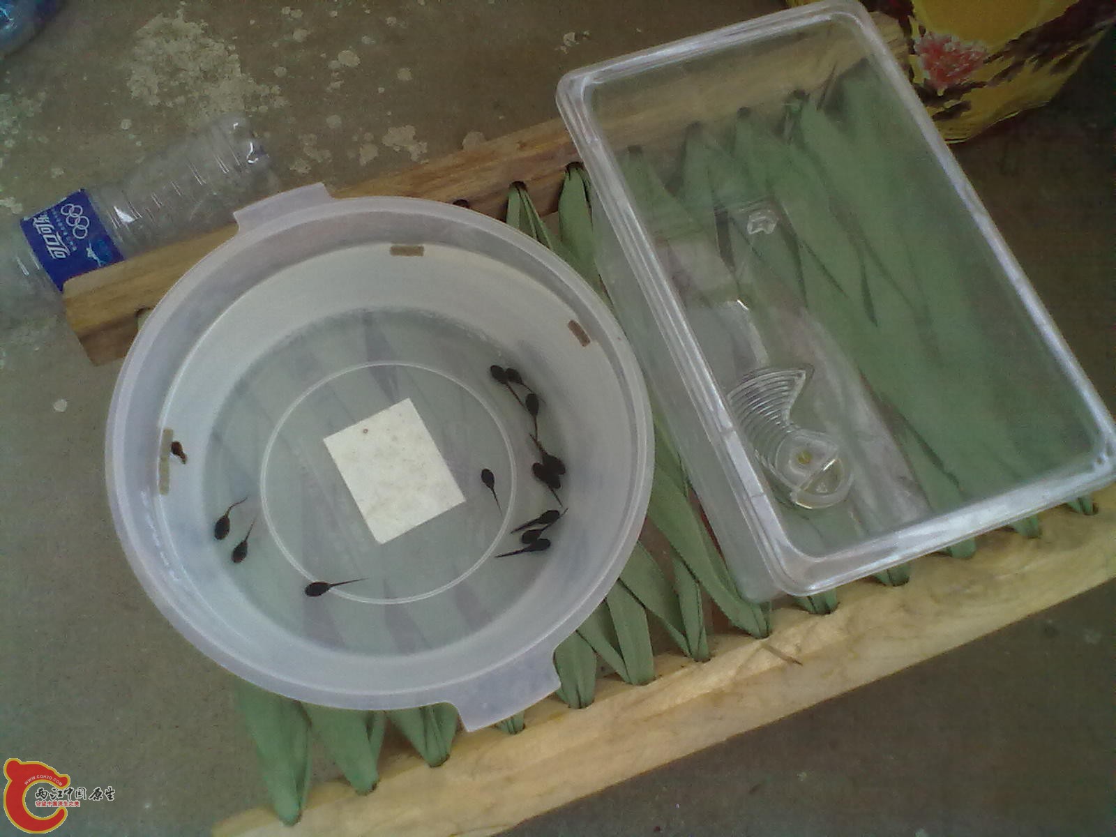 20120409483.jpg