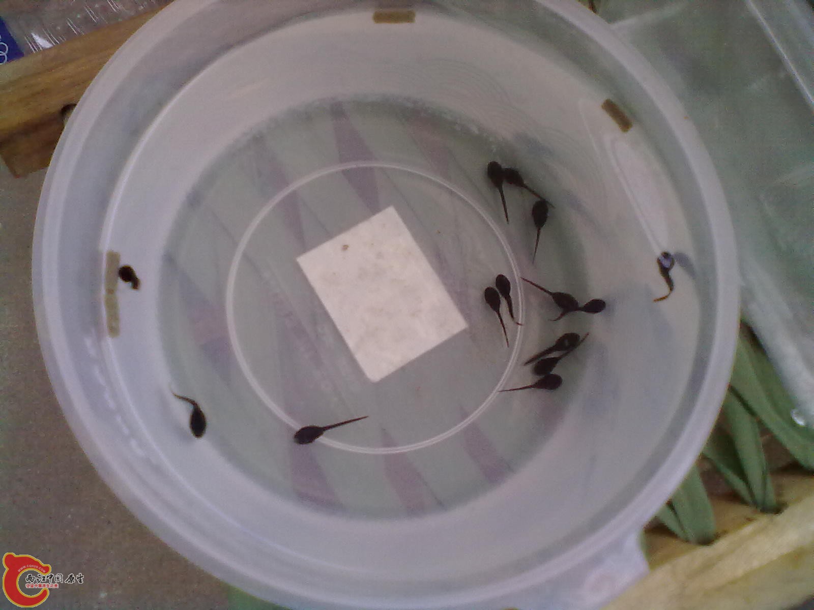 20120409484.jpg